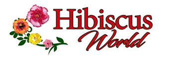 hibiscus world